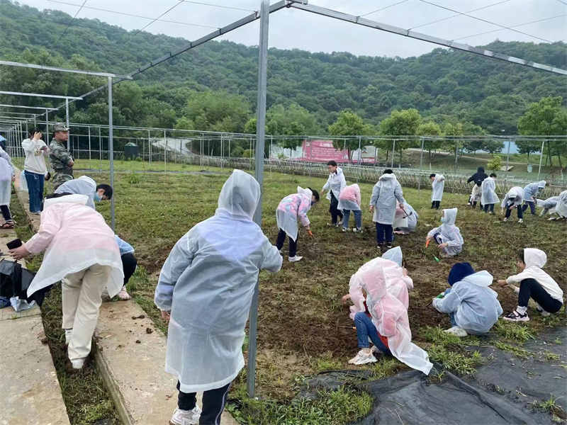 武漢親子游